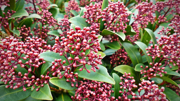 Zo geniet je nog meer van van je wintertuin
