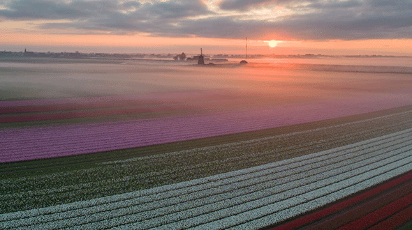 Nederlands aardgas uit kleine velden oplossing voor schommelende gasprijzen